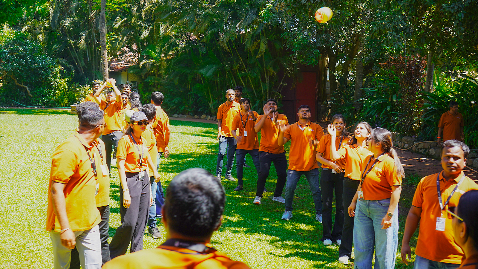 Team and Culture